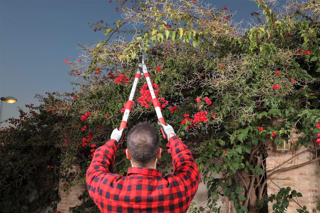 Tijera cortasetos telescopica KAMIKAZE, KM-40